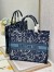 Dior Large Book Tote In Blue Dior Roses Embroidery