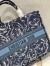 Dior Large Book Tote In Blue Dior Roses Embroidery