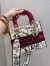 Dior Medium Lady D-Lite Dioramour Graffiti Embroidery Bag 