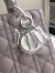 Dior Medium Lady Dior Bag In Grey Lambskin