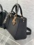 Dior Medium Lady D-Sire My ABCDior Bag in Black Bull Leather
