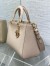 Dior Medium Lady D-Sire My ABCDior Bag in Beige Bull Leather