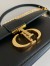 Dior 30 Montaigne East-West Bag with Chain in Black Calfskin