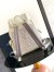 Dior Hit the Road Backpack with Flap in Beige Gravity Leather 