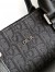 Dior Saddle Tote Bag Black in Black Dior Oblique Jacquard