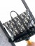 Dior Weekender 40 Bag in Beige Maxi Dior Oblique Jacquard