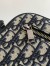 Dior Toiletry Bag in Dior Beige Oblique Jacquard
