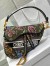 Dior Saddle Bag In Green Multicolor Dior Petites Fleurs Embroidery