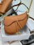 Dior Saddle Bag with Strap in Brown Grained Calfskin