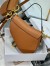 Dior Saddle Bag with Strap in Brown Grained Calfskin