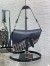 Dior Saddle Bag with Strap in Oblique and Calfskin