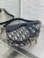 Dior Saddle Bag with Strap in Oblique and Calfskin
