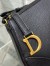 Dior Saddle Rodeo Pouch in Black Goatskin