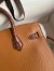 Hermes Day Sac Faubourg Birkin 20 Sellier Limited Edition Bag