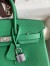 Hermes Birkin 25 Retourne Handmade Bag In Vert Vertigo Clemence Leather