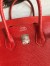 Hermes Birkin 25 Retourne Handmade Bag In Red Lizard Leather