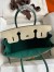 Hermes HSS Birkin 30 Bicolor Bag in Craie and Malachite Epsom Calfskin