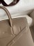 Hermes Shadow Birkin 25 Limited Edition Bag In Taupe Swift Calfskin