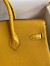 Hermes Touch Birkin 25 Bag in Yellow Togo and Matte Alligator Leather