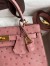 Hermes Kelly Sellier 25 Handmade Bag In Terre Cuite Ostrich Leather