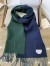 Loewe Window Scarf in Green/Blue Wool and Cashmere