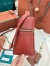 Loro Piana Extra Bag L27 in Brick Smooth Calfskin