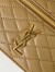 Saint Laurent Gaby Mini Vanity Bag in Beige Lambskin 