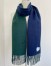 Loewe Window Scarf in Green/Blue Wool and Cashmere