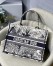 Dior Small Dior Book Tote In Blue Toile de Jouy Palms Embroidery