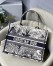 Dior Small Dior Book Tote In Blue Toile de Jouy Palms Embroidery