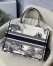 Dior Small Dior Book Tote In Blue Toile de Jouy Palms Embroidery