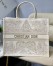 Dior Book Tote Bag In Dior Around the World Stella Embroidery