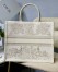 Dior Book Tote Bag In Dior Around the World Stella Embroidery