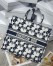 Dior Large Book Tote Bag In Blue and White Dior Etoile Embroidery