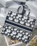 Dior Large Book Tote Bag In Blue and White Dior Etoile Embroidery