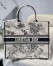 Dior Large Book Tote Bag In White Toile de Jouy Zodiac Embroidery