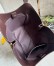Loewe Hammock Flip Bag in Dark Chestnut Calfskin