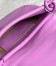 Loewe Paseo Satchel Bag in Rockrose Nappa Leather