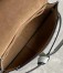 Loewe Mini Gate Dual Bag In Ash Grey Calfskin
