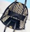 Fendi Peekaboo X-Tote Shopper In Black FF Raffia