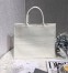 Dior Book Tote Bag In White Surrealism Printed Calfskin