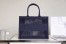 Dior Book Tote Bag In Blue Mesh Embroidery