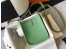 Hermes Evelyne III TPM Mini Bag In Vert Criquet Clemence Leather