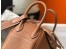 Hermes Lindy Mini Bag In Gold Clemence Calfskin