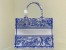 Dior Medium Book Tote Bag In Blue Transparent Toile de Jouy Canvas