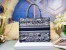 Dior Medium Book Tote Bag In Blue Toile de Jouy Stripes Embroidery