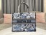 Dior Medium Book Tote In Blue Zodiac Fantastico Embroidery