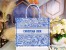 Dior Large Book Tote Bag In Blue Transparent Toile de Jouy Canvas
