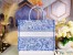 Dior Large Book Tote Bag In Blue Transparent Toile de Jouy Canvas