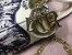 Dior Mini Lady Dior Bag With Toile De Jouy Printed